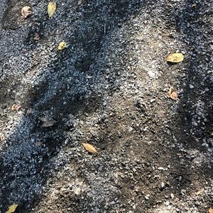 Meet your Posher, Madeline